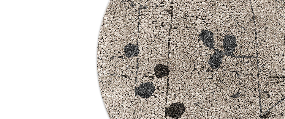 Poppy Rug  BRABBU Love Happens