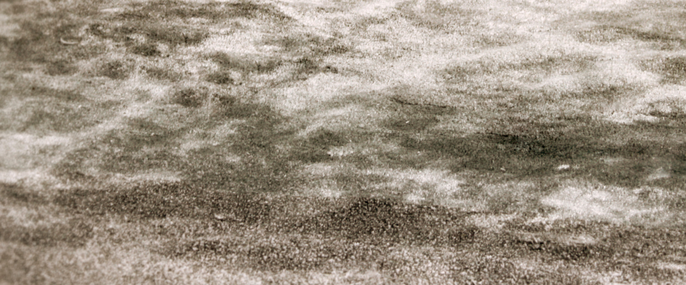 Sandstorm Rug Brabbu Love Happens