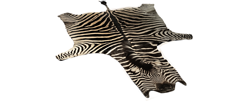 Cebra Rug Miyabi Casa Love Happens