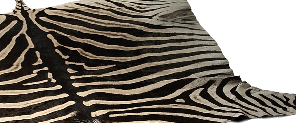 Cebra Rug Miyabi Casa Love Happens