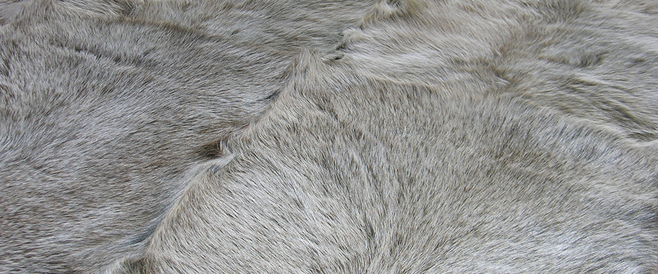 Polo Quina Rug Miyabi Casa Love Happens