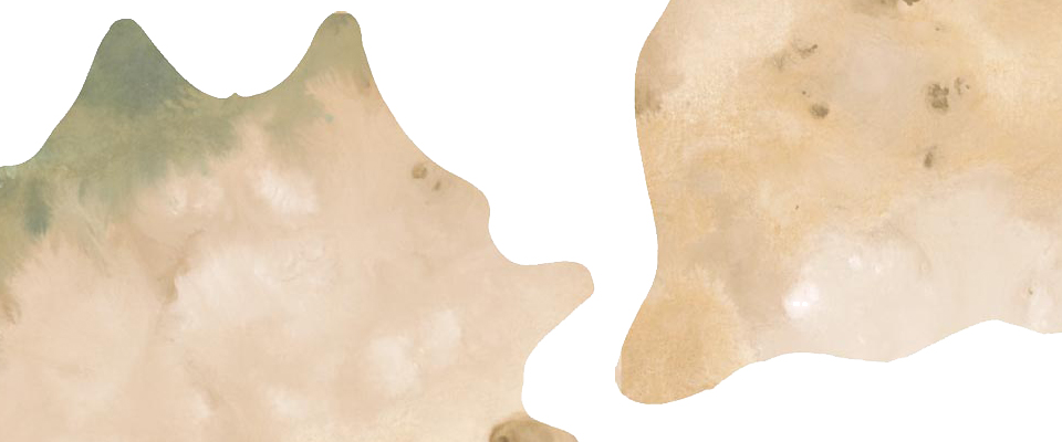 Sandy Wind  Rug Miyabi Casa Love Happens