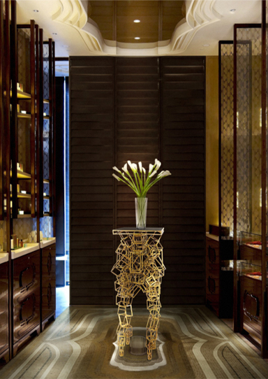 CYGNUS DISPLAY by Brabbu