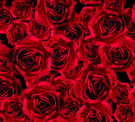 VIE EN ROSE Koket Love Happens